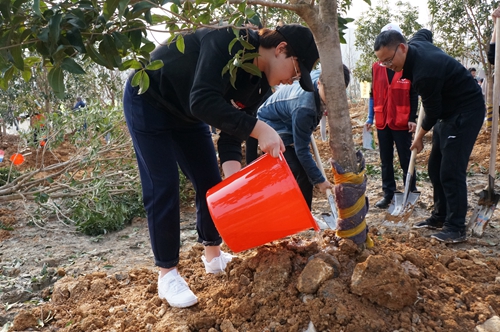 植樹現(xiàn)場5_副本.jpg